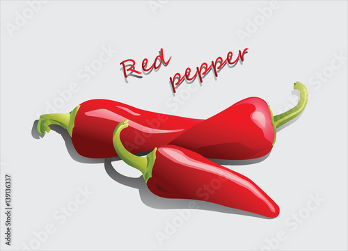 Red pepper. Isolated on white background. Realistic vector illustration for design labels, recipes, farmers' projects.
