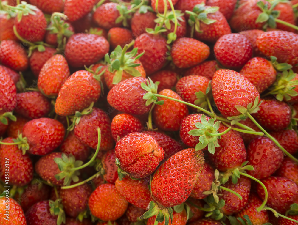 Red strawberries. Background from fresh strawberries, Strawberries at market. Healthy strawberries.(selective focus) Red strawberries. Background from fresh strawberries, Strawberries at market. Healthy strawberries.(selective focus)