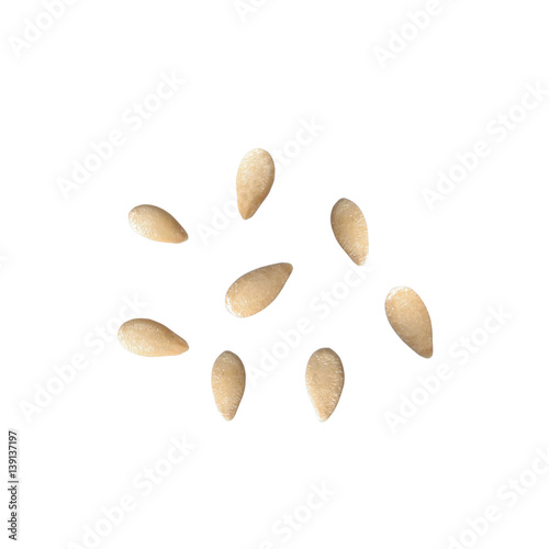Seeds of Melothria scabra on white background