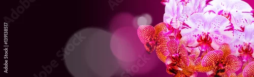 Panel kuchenny z motywem Bukiet orchidei