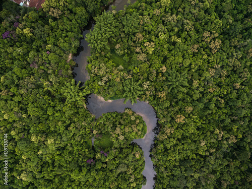 Aerial View of a River in Rainforest, Latin America photo