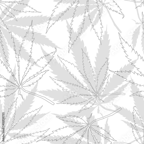 Foliafe Leaves of Cannabis plant. Weed Leaf Background, Market Hemp Marijuana Hashish. Farm Marijuana Leaf. 