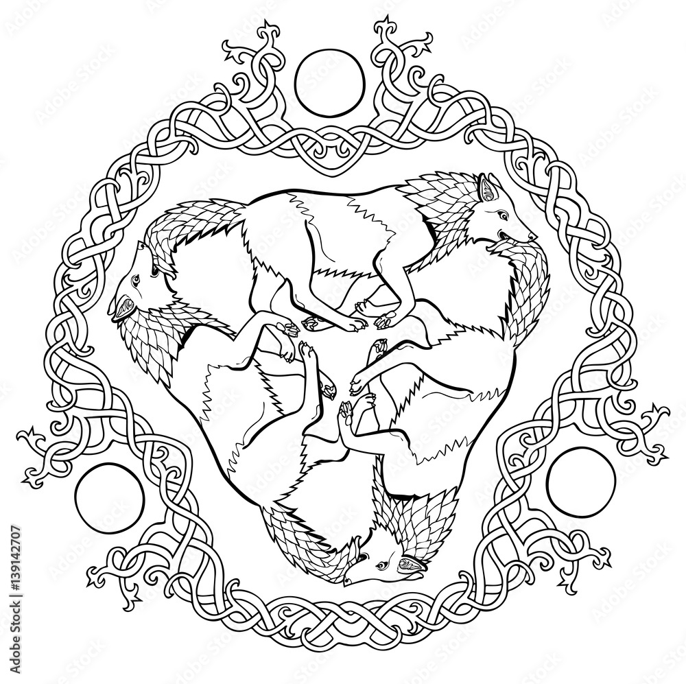 Fototapeta premium Vector illustration of three wolves viking fantasy Celtic knot triskelion black and white
