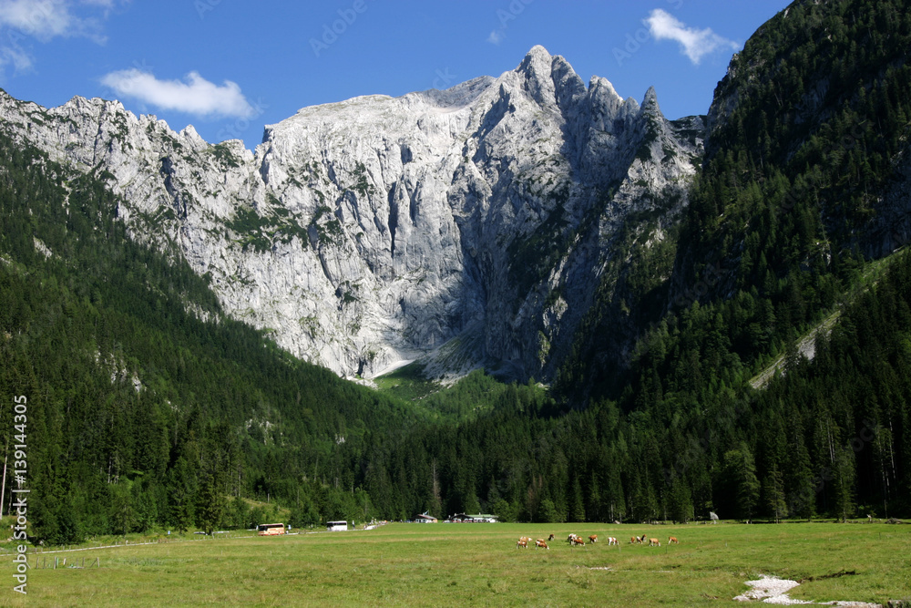 Blick auf den Jenner im Berchtesgadener Land