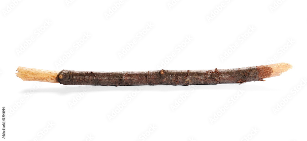 dry rotten branch isolated on white background dry rotten branch isolated on white background