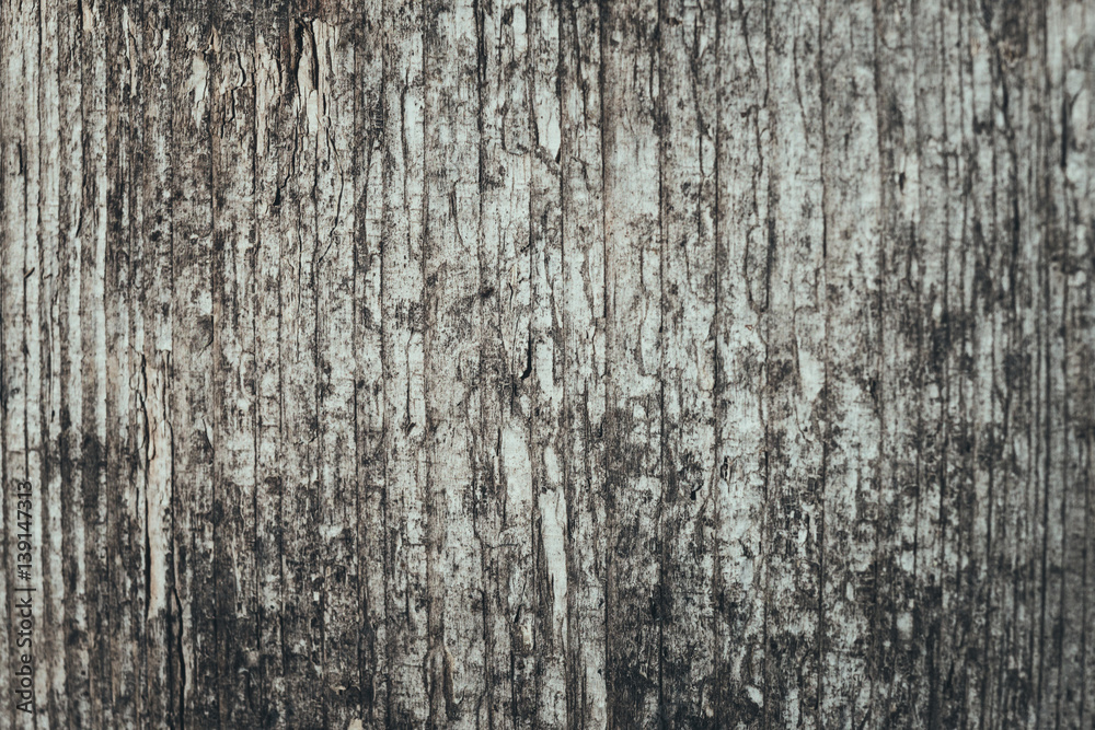 Old wood texture background