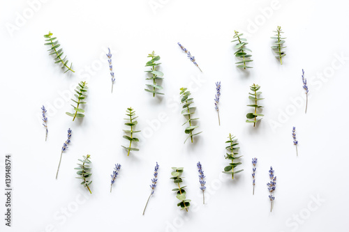 Floral pattern with lavander and eucalyptus on white background top view