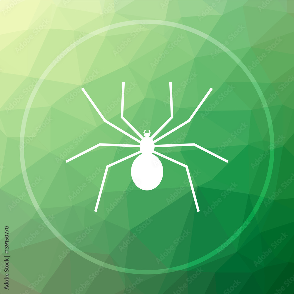 Obraz premium Spider icon