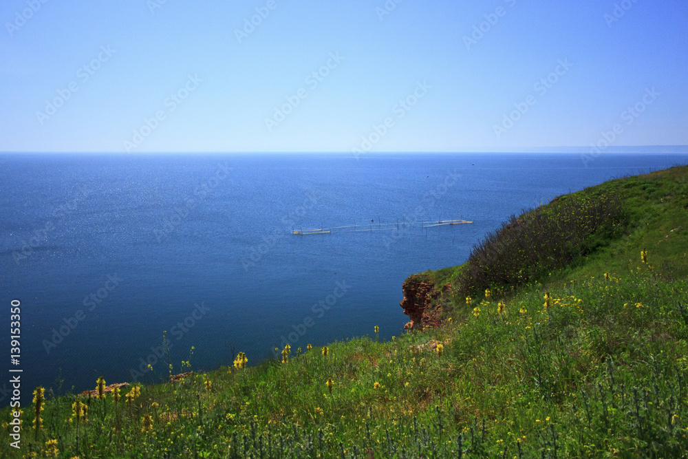 Yellow flowers with sea view on background