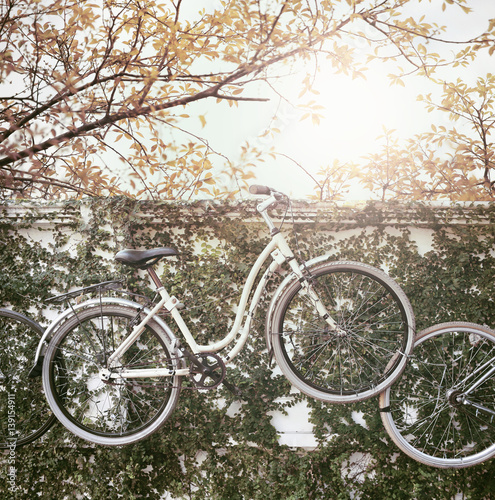 Vintage bike suspended on the wall in garden.Soft focus and vintage color toned.