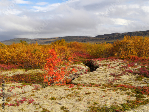 Herbstlandschaft in Island photo