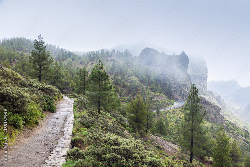 Fototapeta premium Trail to Roque Nublo in fog