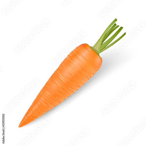 Realistic vector carrot icon isolated on white background. Design template.
