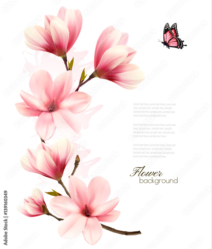 Fototapeta premium Beautiful pink magnolia background. Vector.