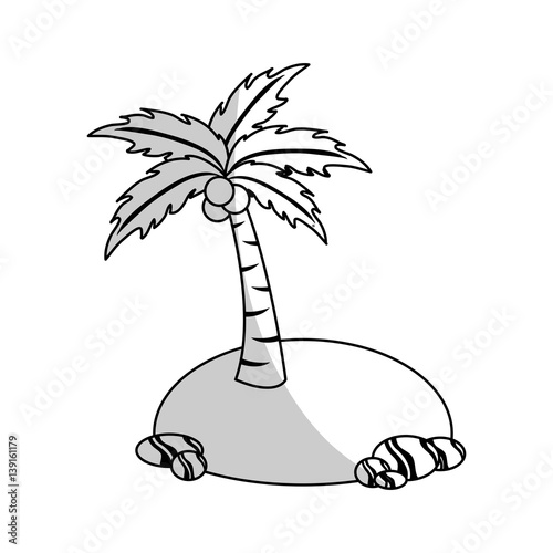 tropical palm icon over white background. vector illustration