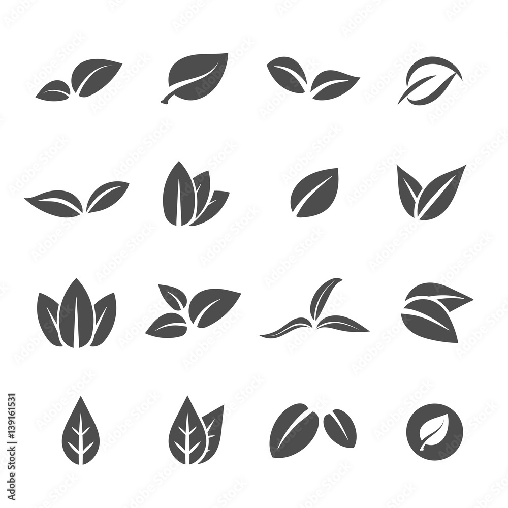 leave leaf icon set vector