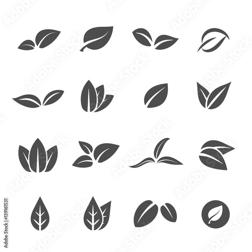 leave leaf icon set vector