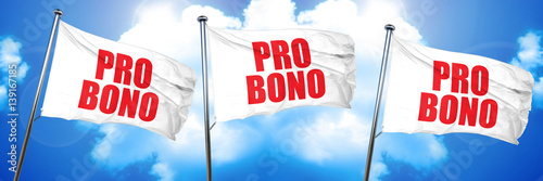 Photography pro bono, 3D rendering, triple flags