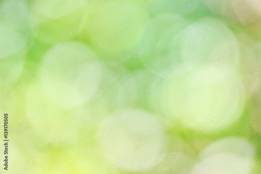 Blur Sunlight for Green Background