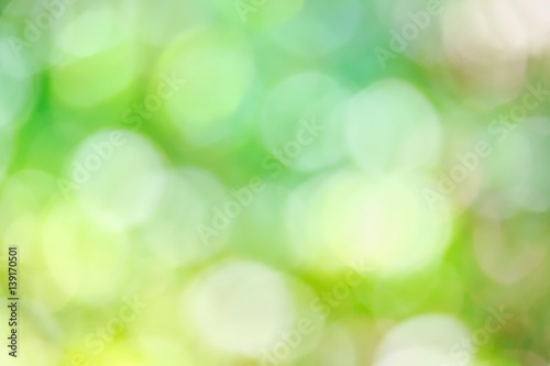 Blur Sunlight for Green Background