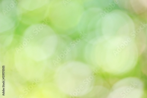 Obraz na płótnie Blur Sunlight for Green Background w salonie
