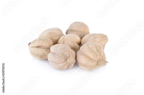 dried cardamom seed on white background photo