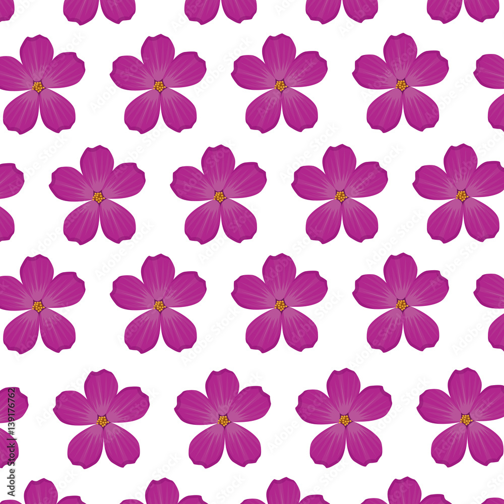 plumeria flower purple wallpaper decoration vector illustration