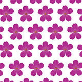 plumeria flower purple wallpaper decoration vector illustration