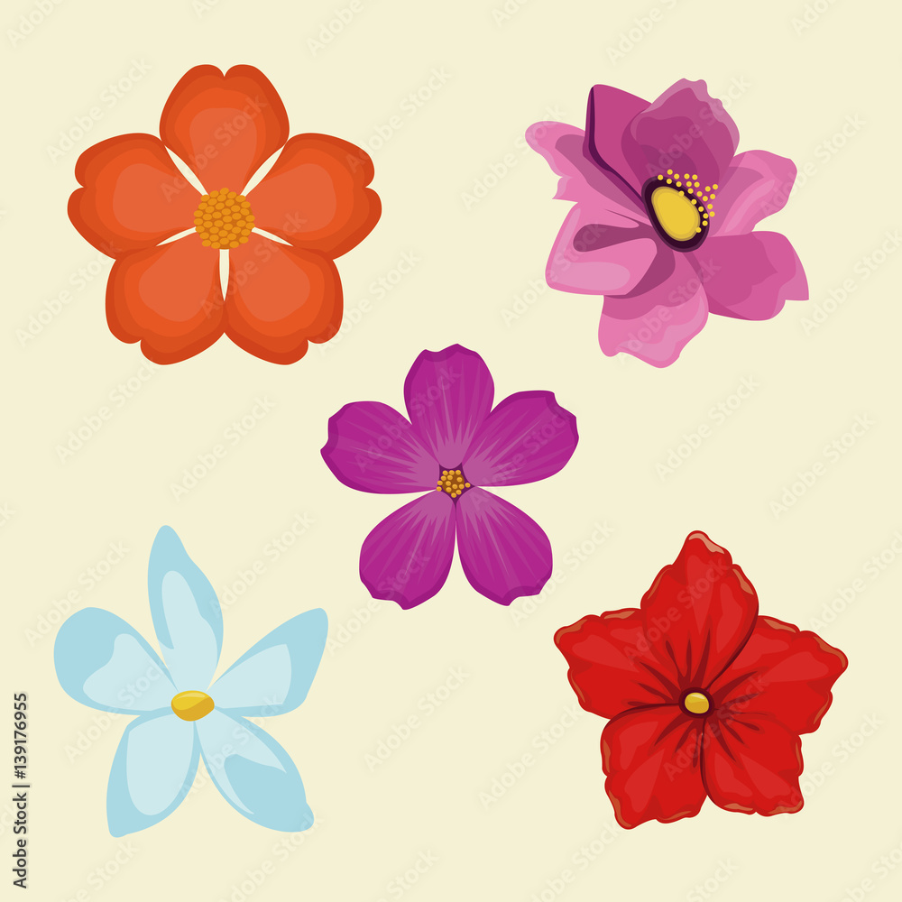 set flowers spring decoration image vector illustration eps 10