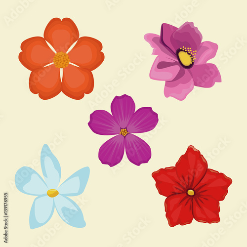 set flowers spring decoration image vector illustration eps 10