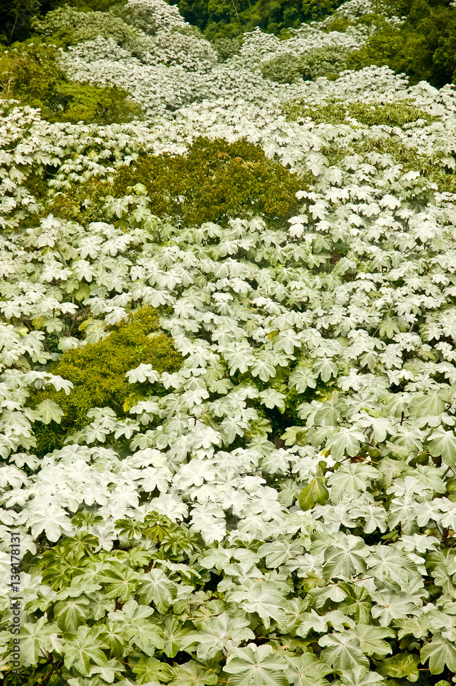 Landsacpe in Merida in Venezuela