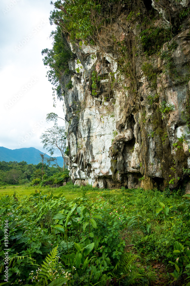 Elephant Cave's Limestone Cliffs