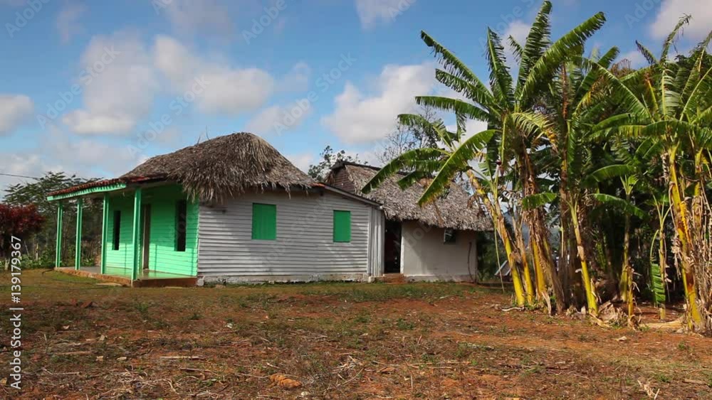 Famous Cuba farmland tobacco area, Valley de Vinales, Pinar del Rio, Cuba.