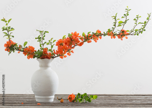 Fototapeta Naklejka Na Ścianę i Meble -  Chaenomeles in white vase