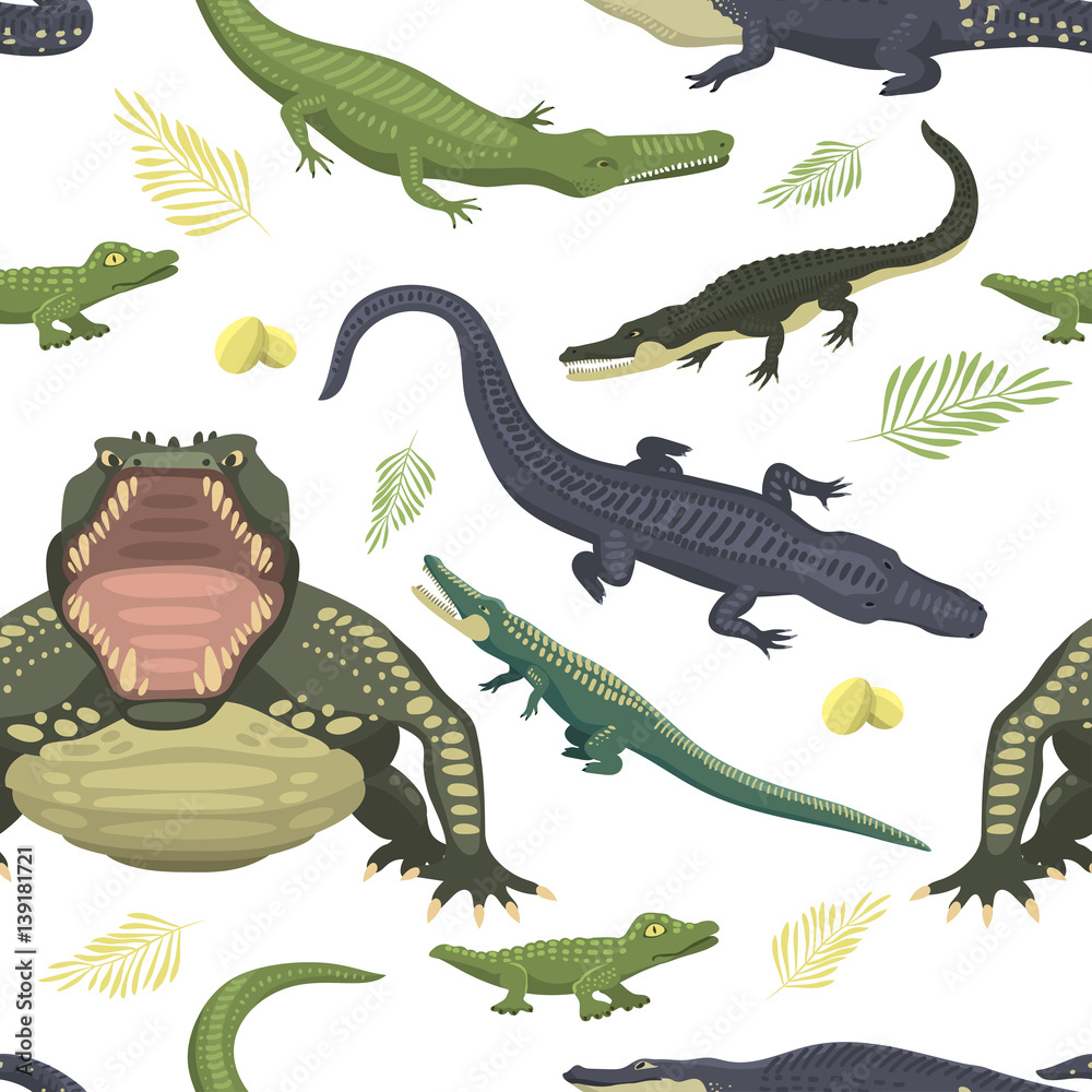 Fototapeta premium Cartoon green crocodile danger predator and australian wildlife river reptile carnivore alligator with scales teeth flat vector illustration.
