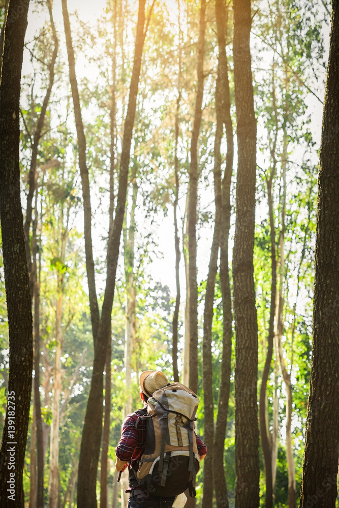 Young Man standing alone in forest outdoor with sunset nature on background Travel Lifestyle and survival concept