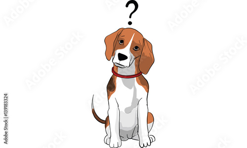 beagle dog action