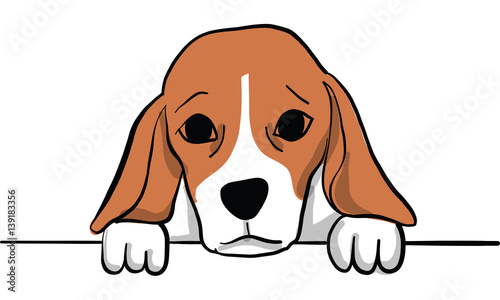 beagle dog action