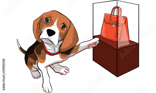 beagle dog action