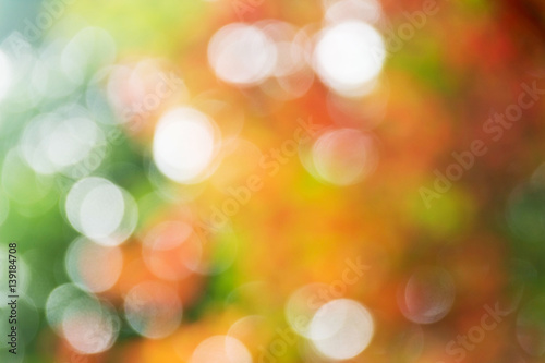 blurred of red bokeh on nature