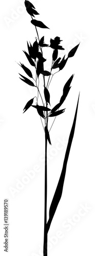 oat black silhouette isolated on white background