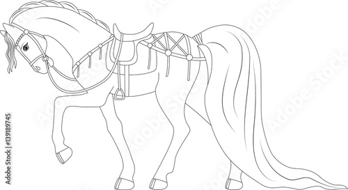 beautiful thoroughbred horse in harness, coloring page