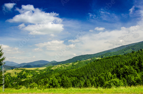 Summer mountain landscape, green hills and trees in the warm sunny day