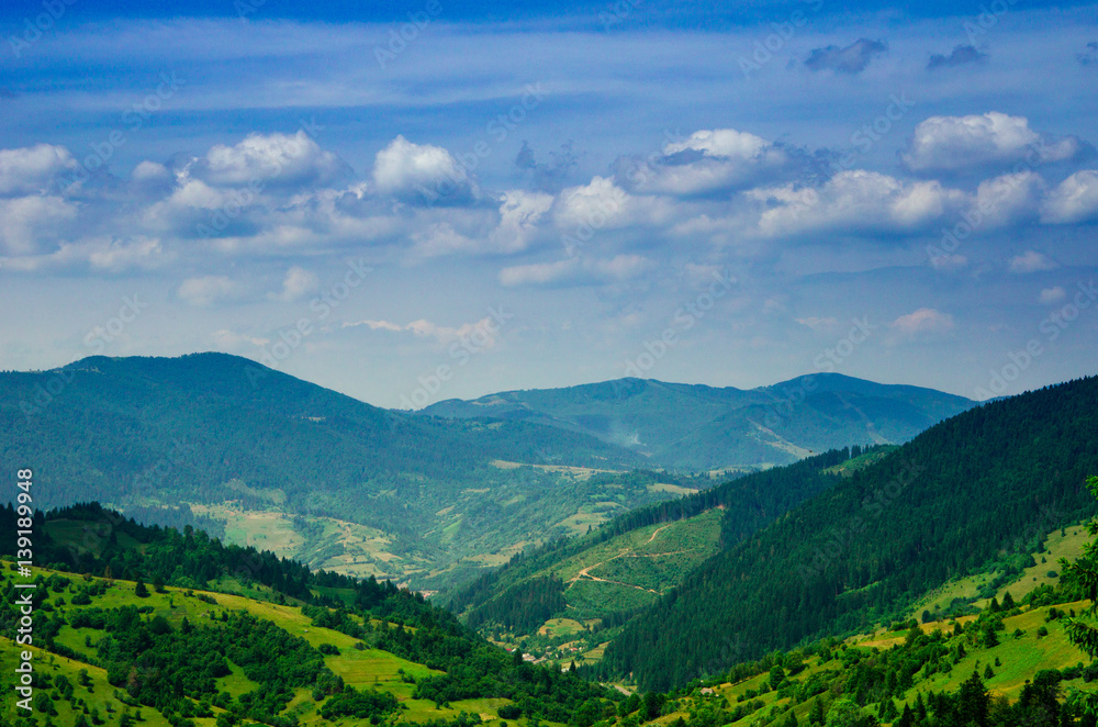 Summer mountain landscape, green hills and trees in the warm sunny day