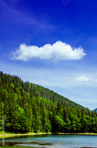 Summer mountain landscape, lake in the mountains. green trees in the warm sunny day