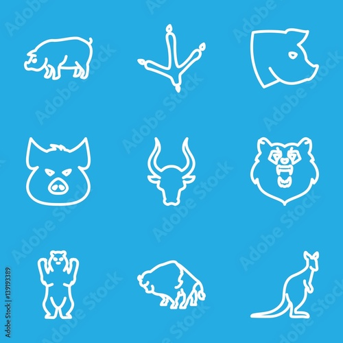 Set of 9 wildlife outline icons