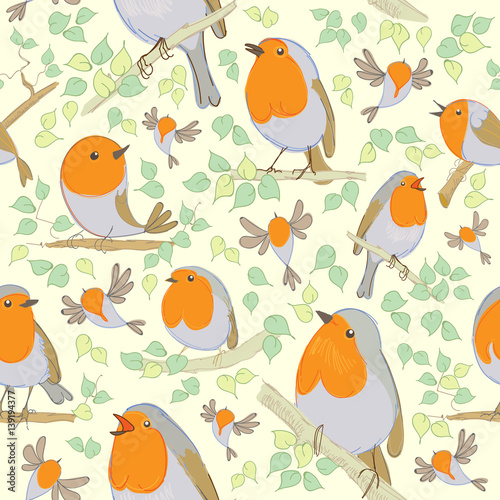 Robin pattern. Cartoon birds. Hand drawn. Vector illustration