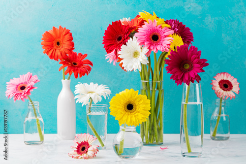 Colorful gerbera flowers in a glass vases and bottles. Blue stone background.