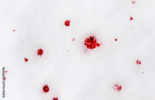 red blood on the snow