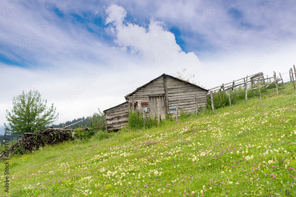 Foggy Plateau Highland with Giresun - Turkey